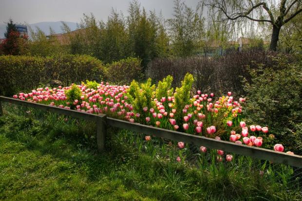 Botanik Park Bursa
