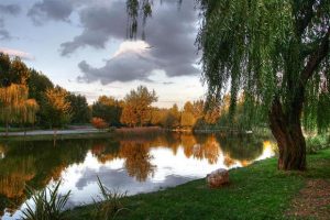 Botanik Park Bursa