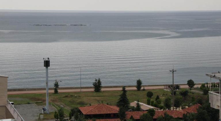 ساحل مدينة ريزا التركية