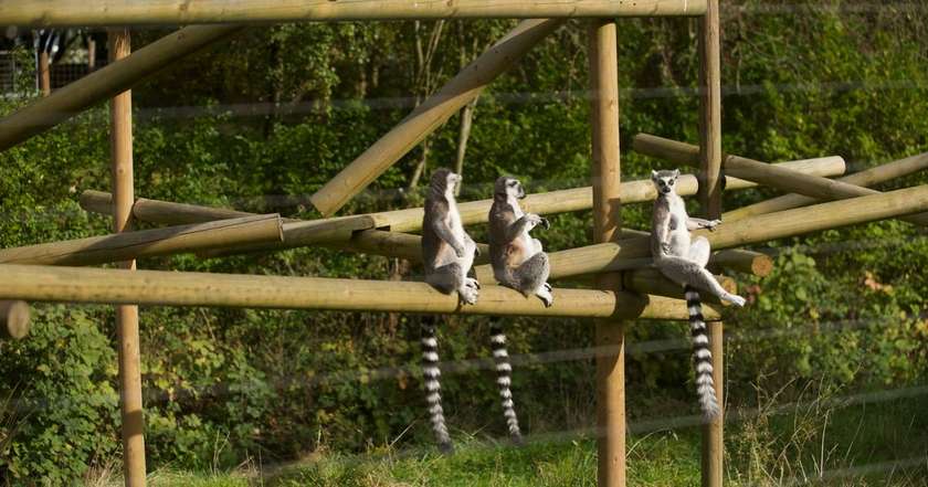 Birmingham Wildlife Conservation Park