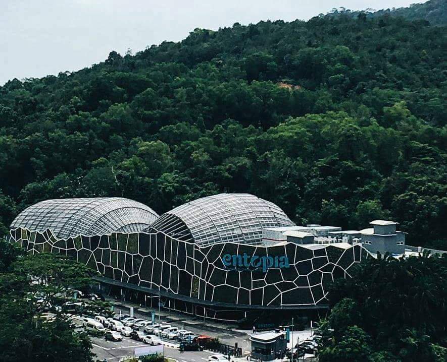 top things to do in Penang