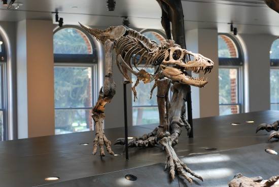 Miami Science Museum السياحة في ميامي