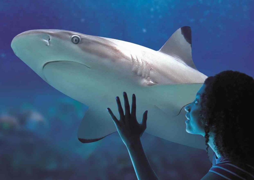Sea Life Centre Birmingham
