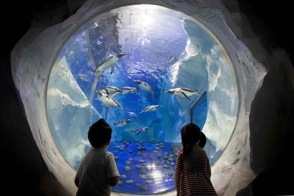 Sea Life Centre Birmingham