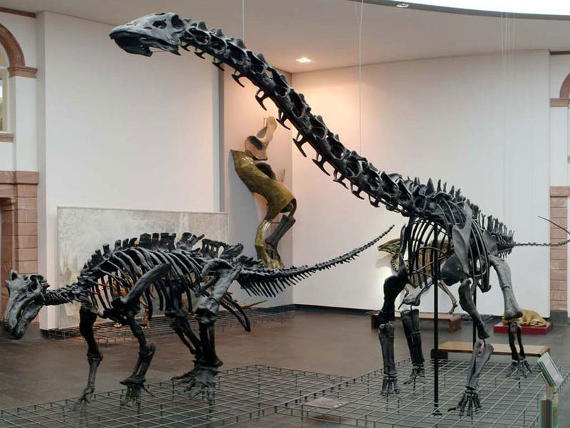 best museums in Frankfurt - museums of frankfurt