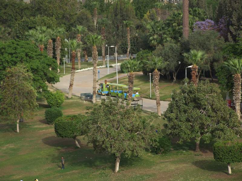 things to do in Cairo