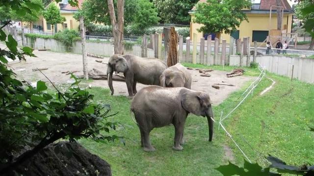 Vienna Zoo