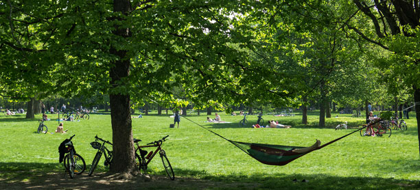 best things to do in Vienna