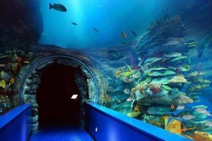 things to do in Alexandria with Kids