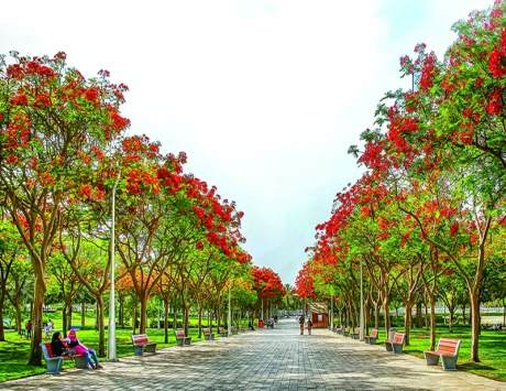 top things to do in Dubai