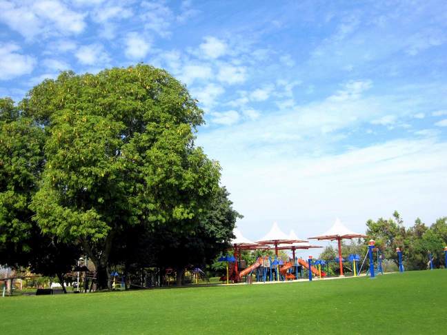Creek Park Dubai