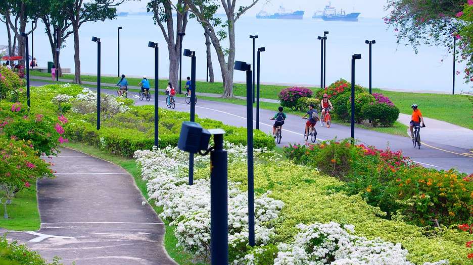 best things to do in Singapore