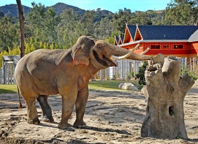 things to do in Los Angeles