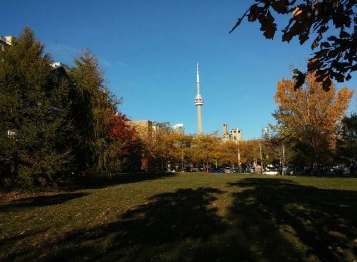popular things to do in Toronto