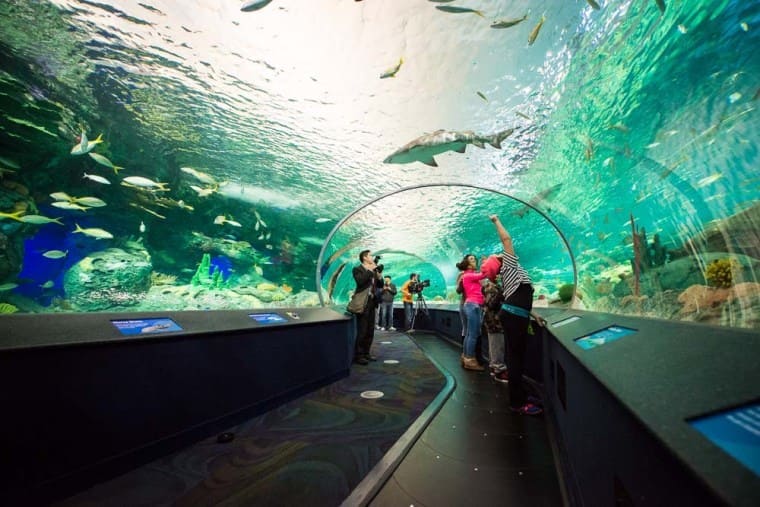 most fun things to do in toronto