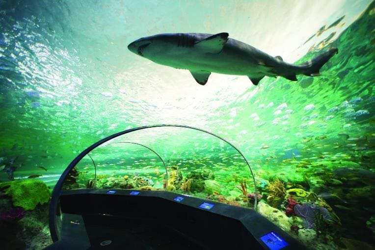top things to do in Toronto Ontario Canada