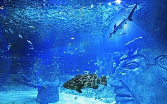 top things to do in Orlando