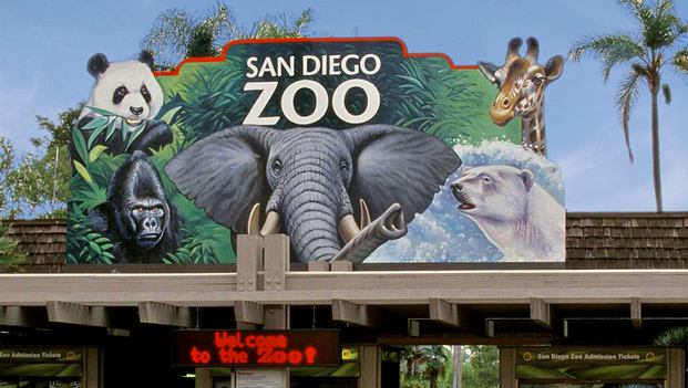 best things to do in San Diego