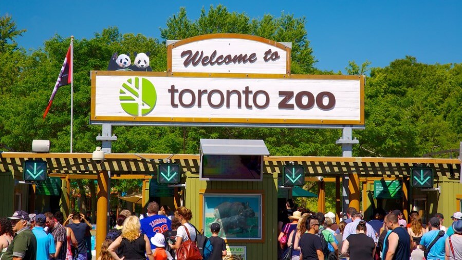 best attractions in Toronto