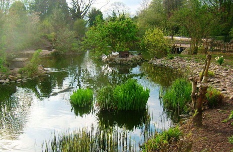 Heidelberg Zoo