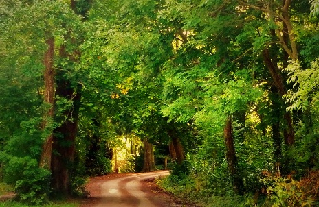 best things to see in Killarney