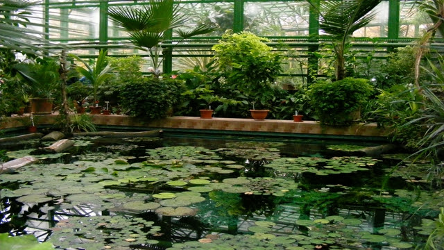 Bucharest Botanical Garden