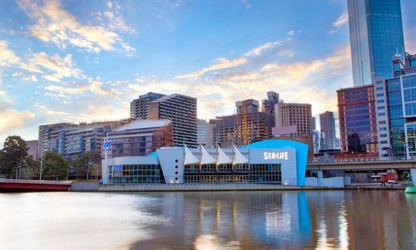 best things to do in Melbourne