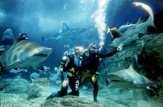 fun things to do in Melbourne for families