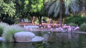 best Attractions in Al Ain for Families