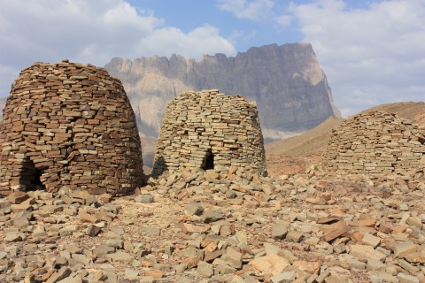 واحة العين بأبو ظبي