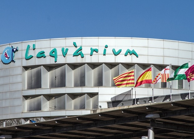 things to do in Barcelona