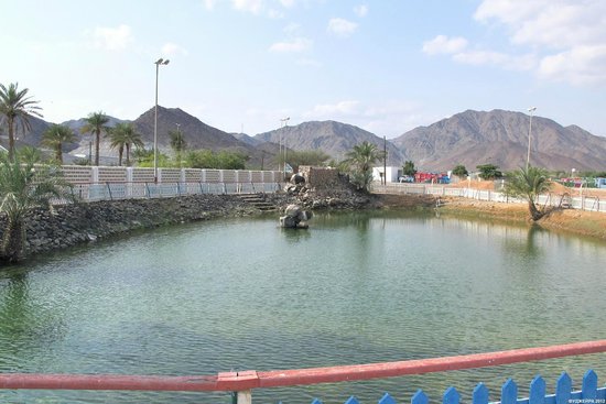 top things to do in Fujairah 