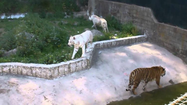 الحديقة الوطنية للتسلية ببن عكنون من اهم مناطق سياحية في الجزائر العاصمة