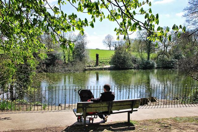 Graves Park