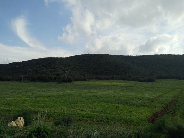 Tlemcen National Park