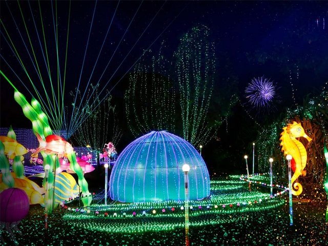 Dubai Garden Glow