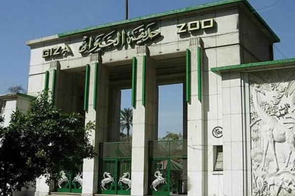 الجيزة في مصر