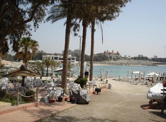 جزيرة الشاي بالاسكندرية