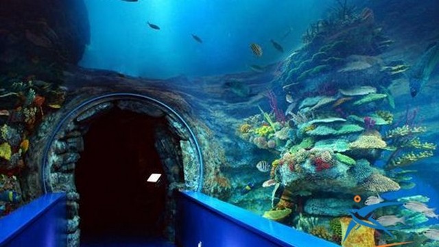 Alexandria attractions for families