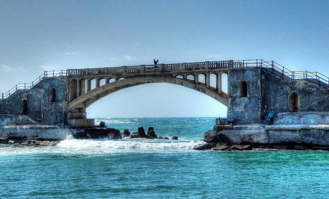 جزيرة الشاي الاسكندرية