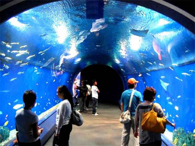 Hurghada Grand Aquarium