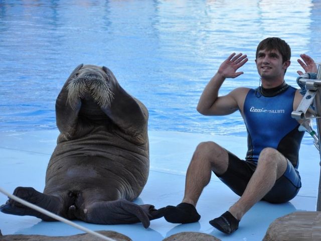 سى ورلد في الغردقة مصر