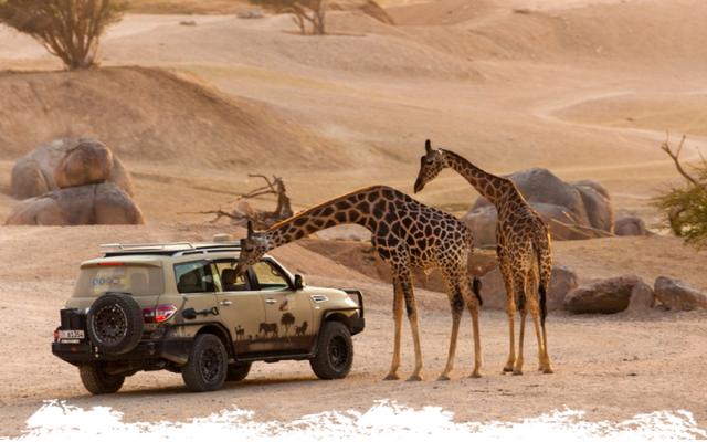 السياحة في العين الامارات اماكن سياحية في العين للعوائل