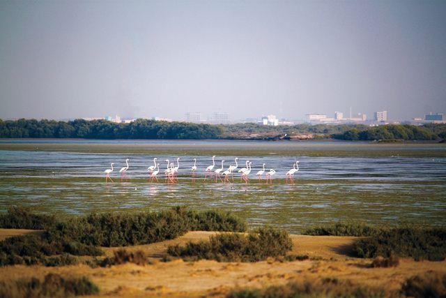 السياحة في دولة الامارات