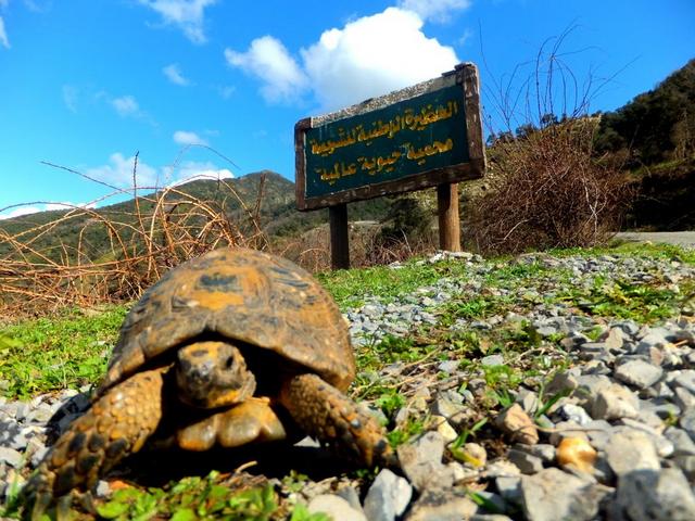 حديقة البليدة الوطنية