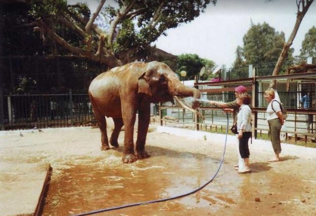 best attractions in Oran for families