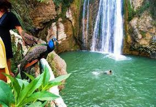things to do in Tlemcen 