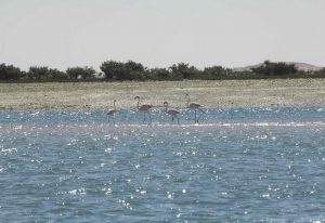 السياحة بالعاصمة نواكشوط