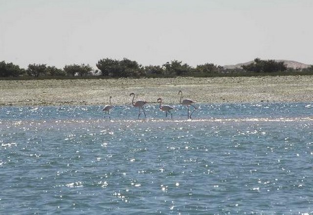 السياحة بالعاصمة نواكشوط