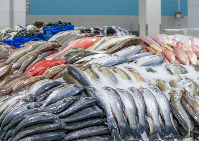 اسواق ضباء السعودية
